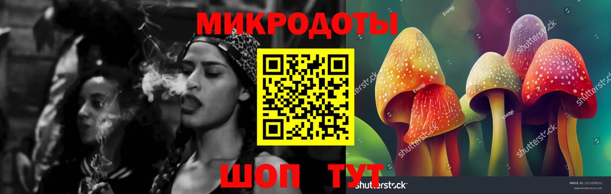 Галлюциногенные грибы мухоморы Пугачёв