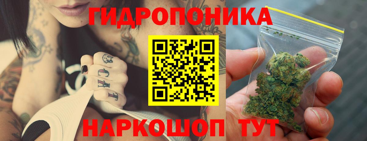 Шишки марихуана Amnesia  Вход с VPN  Пугачёв  Бошки марихуана индика 
